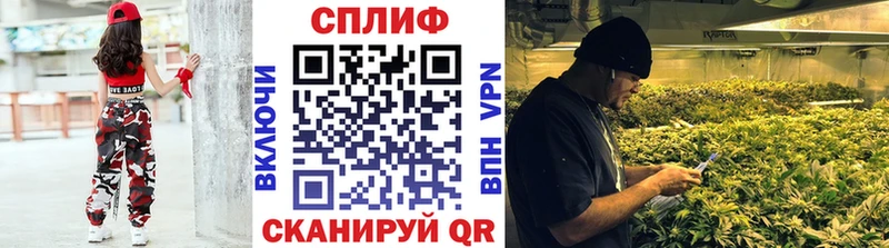 Купить закладку Ленинск Alpha PVP Метадон ГАШ Меф мяу мяу