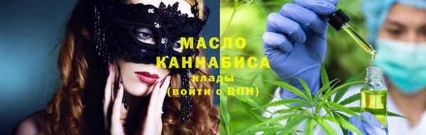 сатива Аркадак