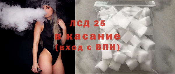 сатива Аркадак