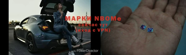 сатива Аркадак