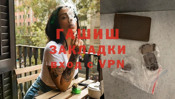 сатива Аркадак
