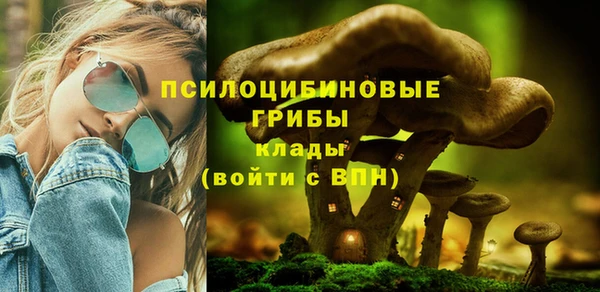 мяу мяу мука Арсеньев