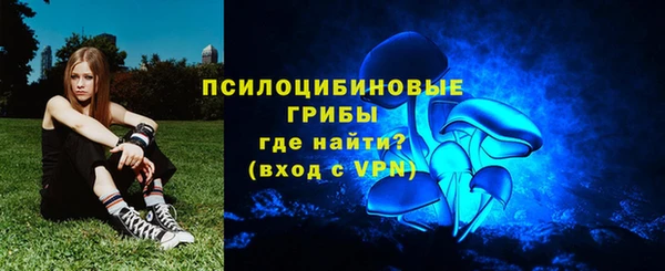 сатива Аркадак