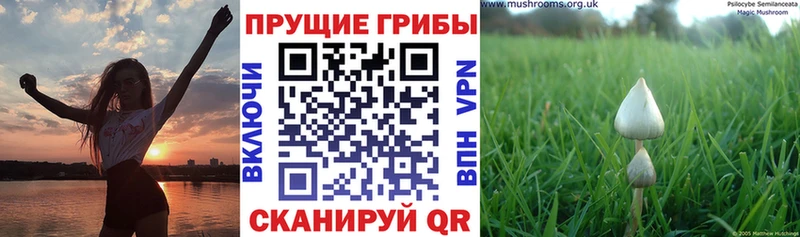 Псилоцибиновые грибы ЛСД  Ленинск 